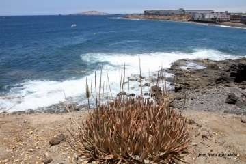 Un paseo con ensoñación en el inicio del verano por la costa de Telde (Reportaje gráfico Jesús Ruiz Mesa)